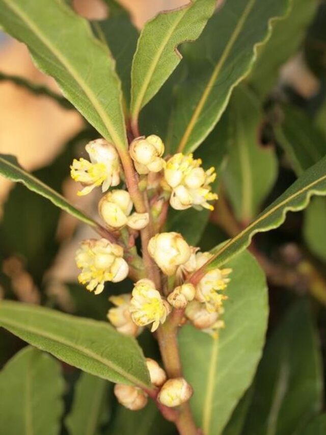 7db9b5eb9b2cb92dee604aa64320e7bd