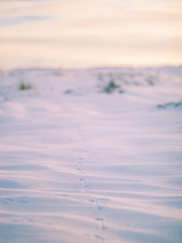 A person walking across a snow covered field