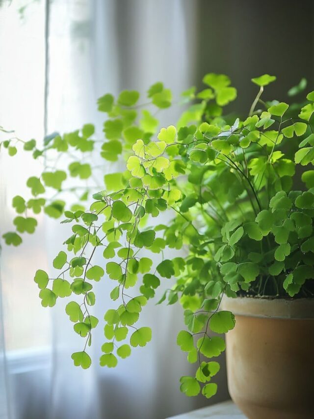 bbc6fad96ae35972e64f0a66325e768c