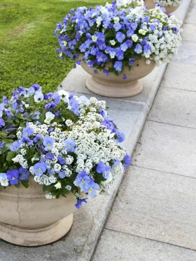 d213893e8d1feae937ebe39fda68273c