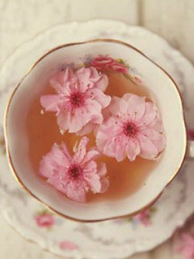 e01968add589dc647f97b76bd2ba493c