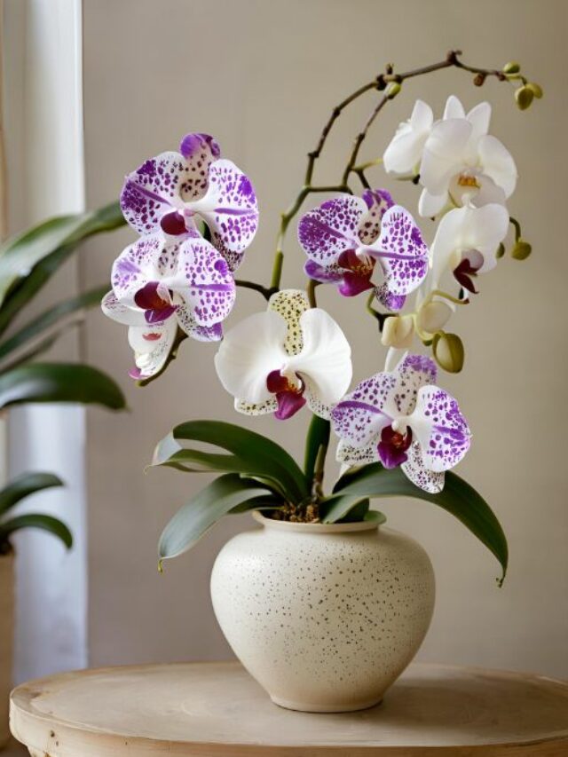 edd5ad04f12e903e97b38a5b8bd900a4