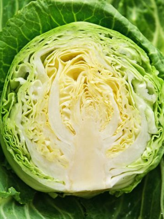 Cabbage is making a comeback. Here's the best way to eat it
