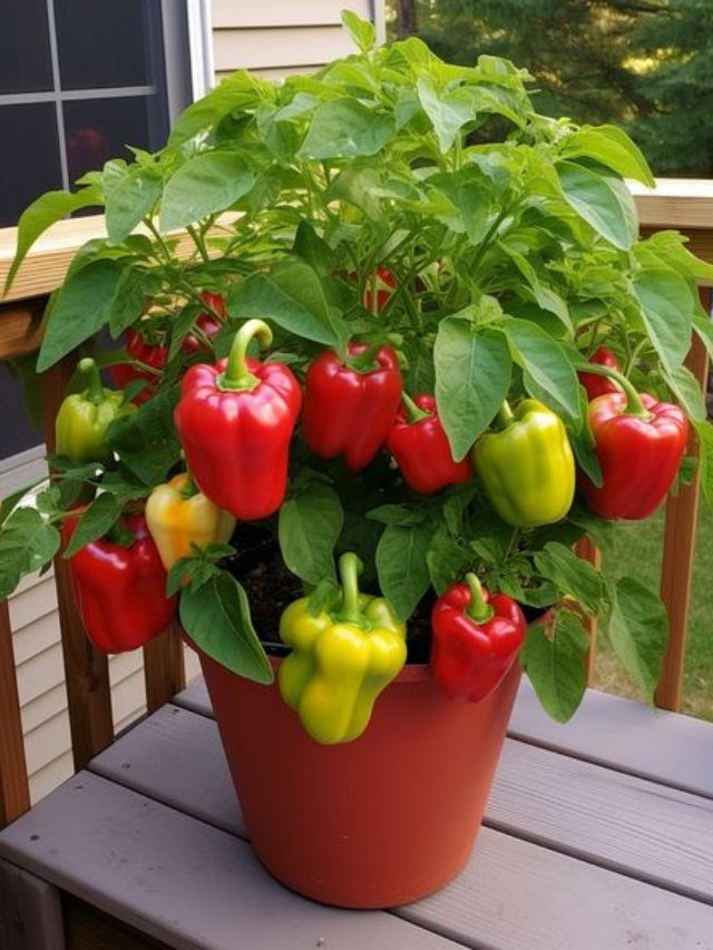 There's a Better Way to Cut Bell Peppers, According to TikTok