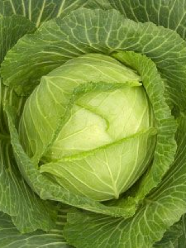 Here's How to Cook Cabbage to Perfection
