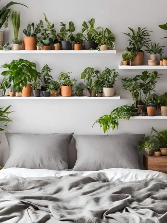 7 Best Plants for Your Bedroom to Help You Sleep Better