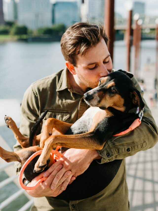 man in brown jacket hugging black and brown short coated dog