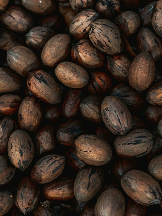 Understanding the Difference Between Pecans and Walnuts