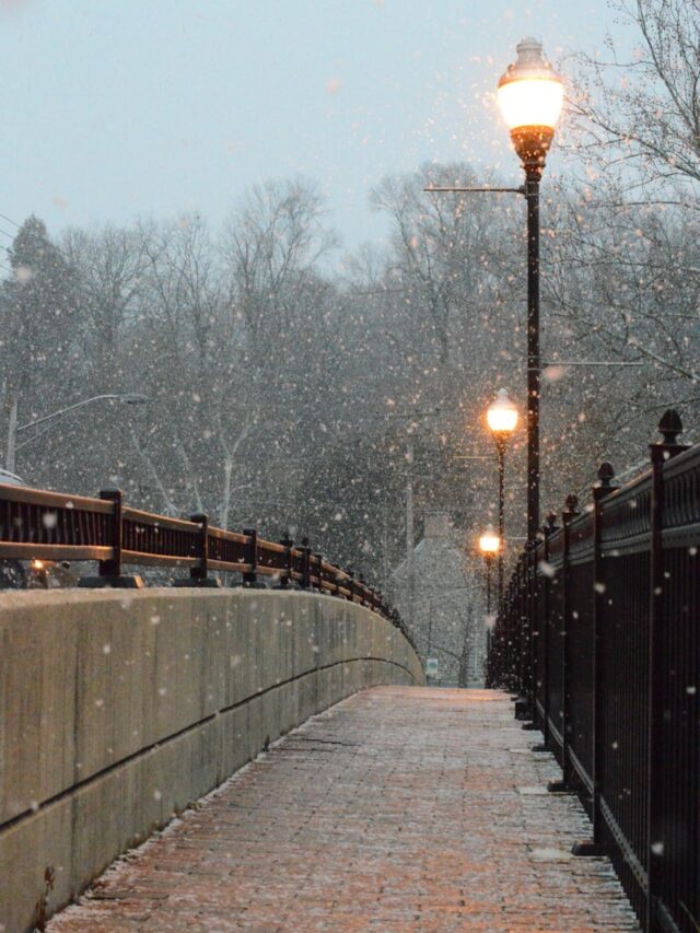 photo of turned on street lights near railing