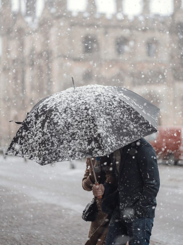 person holding black umbrella